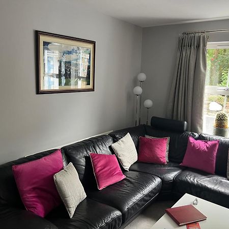 Bed and Breakfast Five Oaks Londonderry Exteriér fotografie