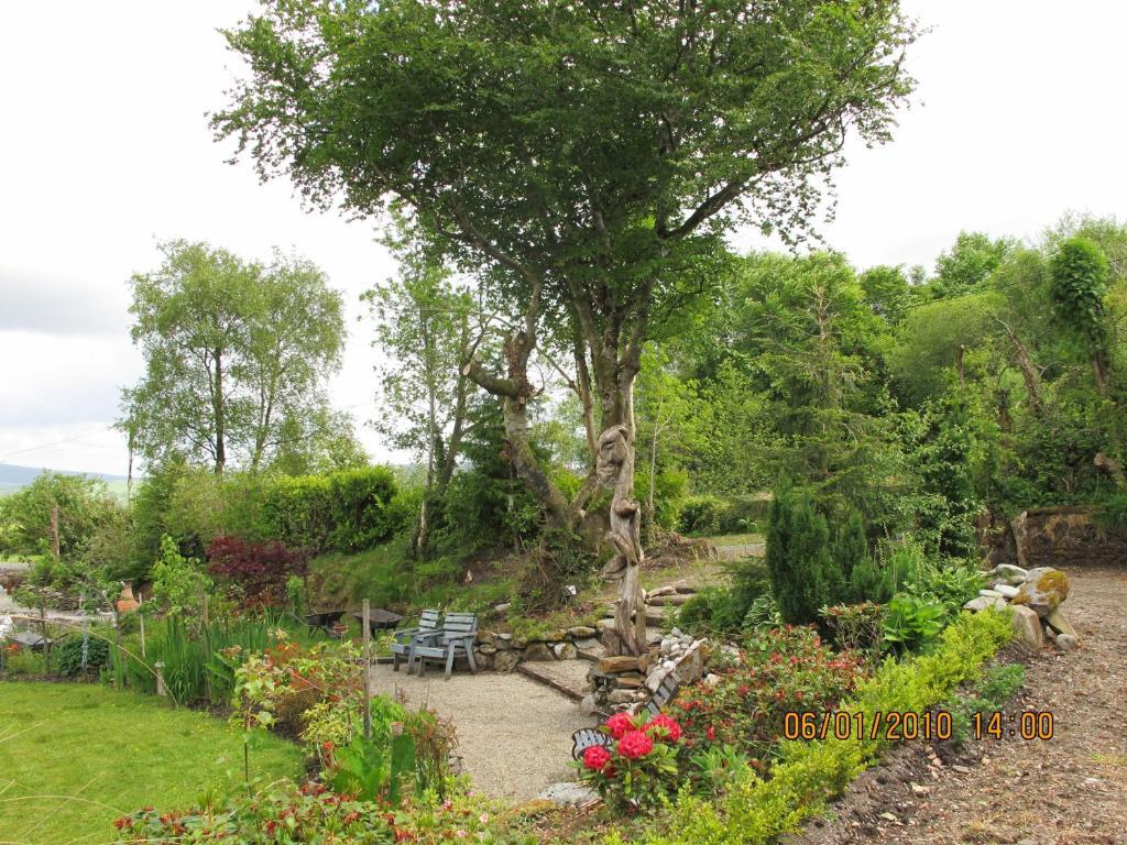 Bed and Breakfast Five Oaks Londonderry Exteriér fotografie