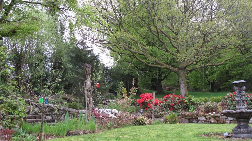 Bed and Breakfast Five Oaks Londonderry Exteriér fotografie