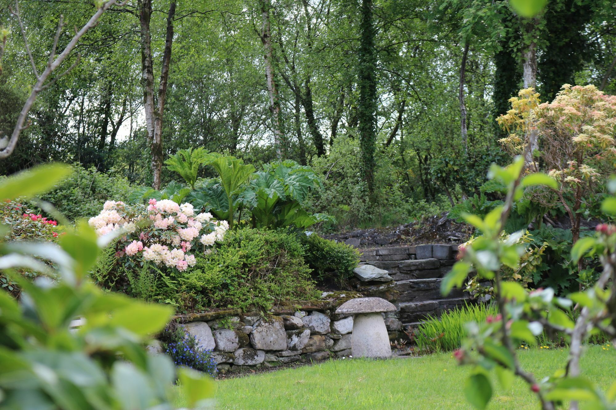 Bed and Breakfast Five Oaks Londonderry Exteriér fotografie