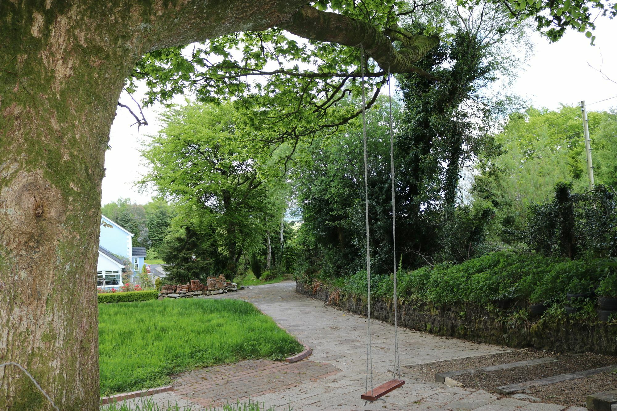 Bed and Breakfast Five Oaks Londonderry Exteriér fotografie