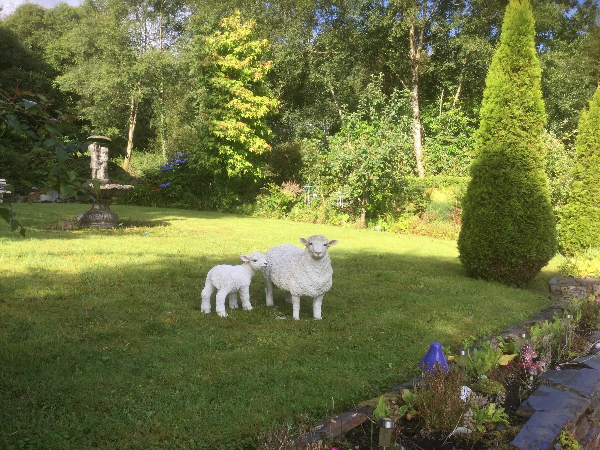 Bed and Breakfast Five Oaks Londonderry Exteriér fotografie